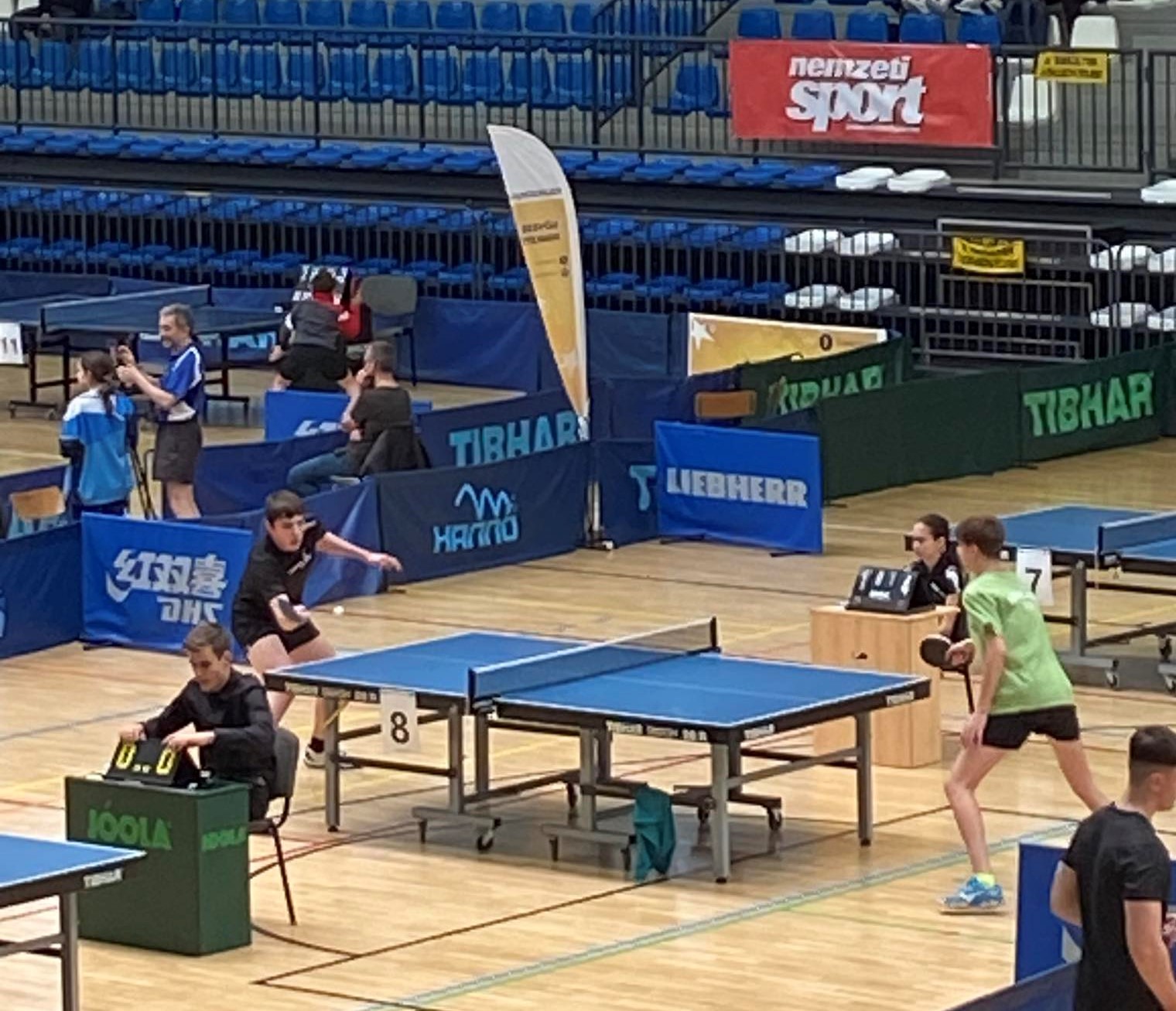 Marci-országoson-ping-pong