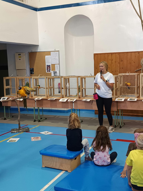 🦜 Madárcsicsergéstől zengett a Barkóczy utcai épület!