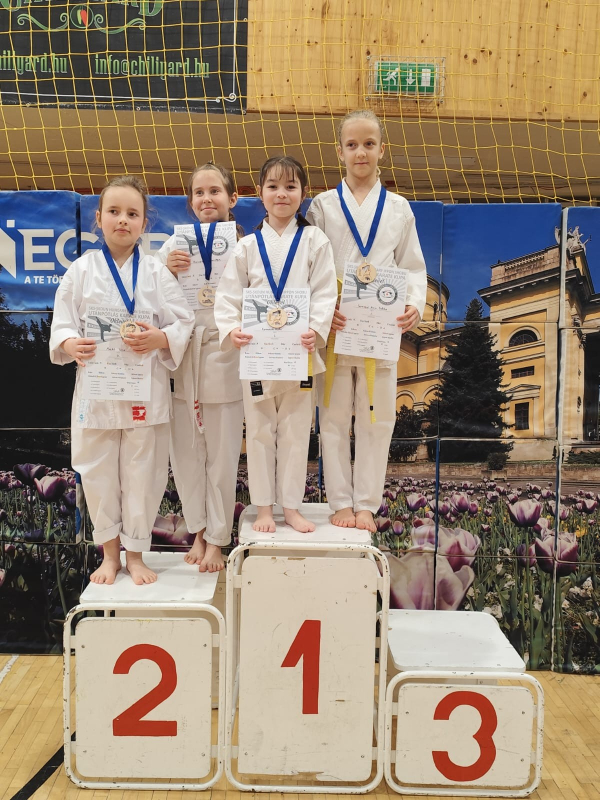 Sikeresen szerepeltek tanulóink az SKS–SKDUN Ippon Shobu Utánpótlás Karate Kupán!